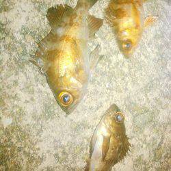 さぶかったぁー